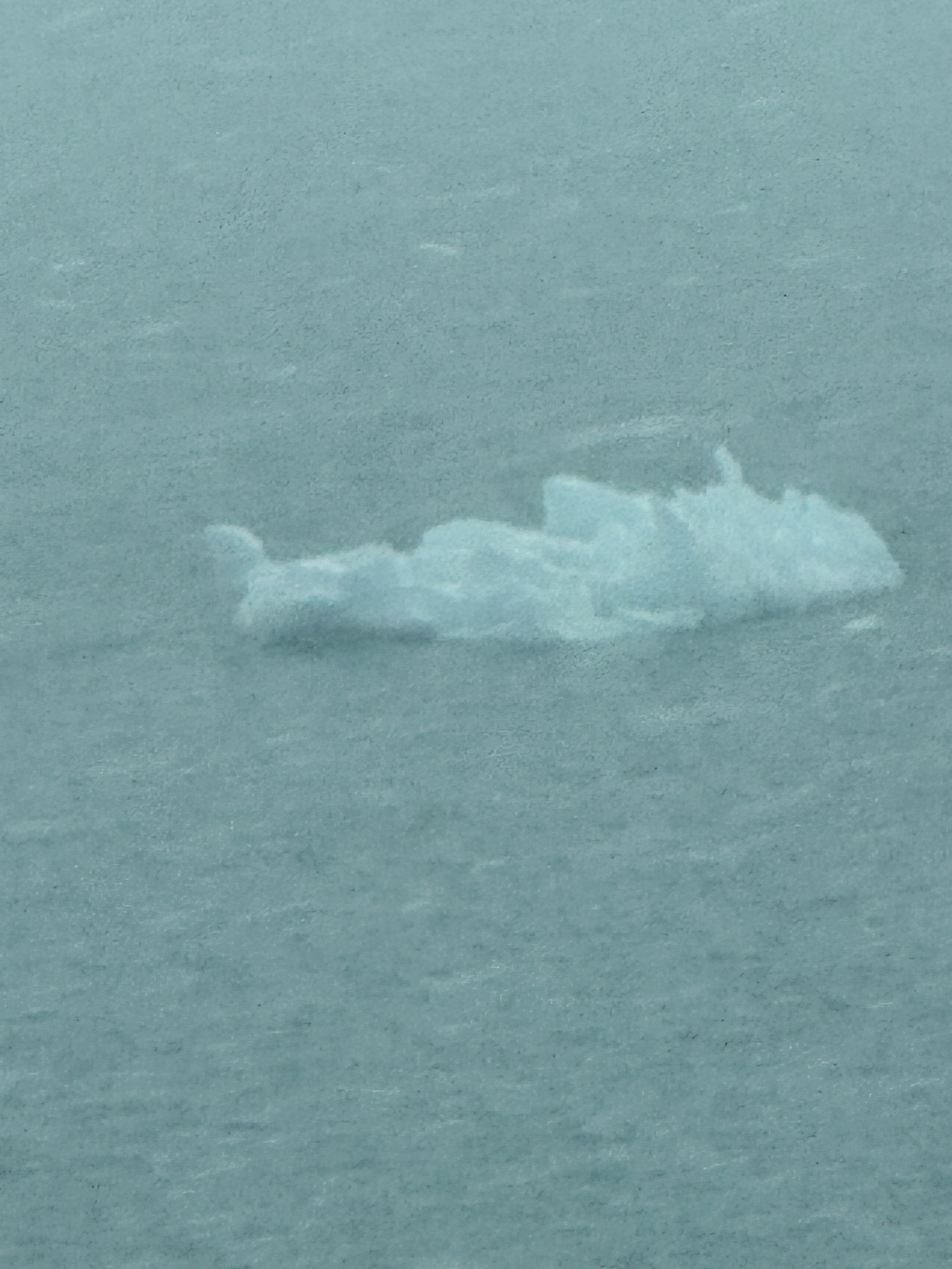 Small iceberg floating on calm teal Alaska waters under a misty sky