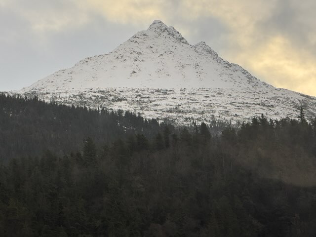 Snow-capped mountain peak rising above evergreen forest under golden light breaking through clouds in Alaska