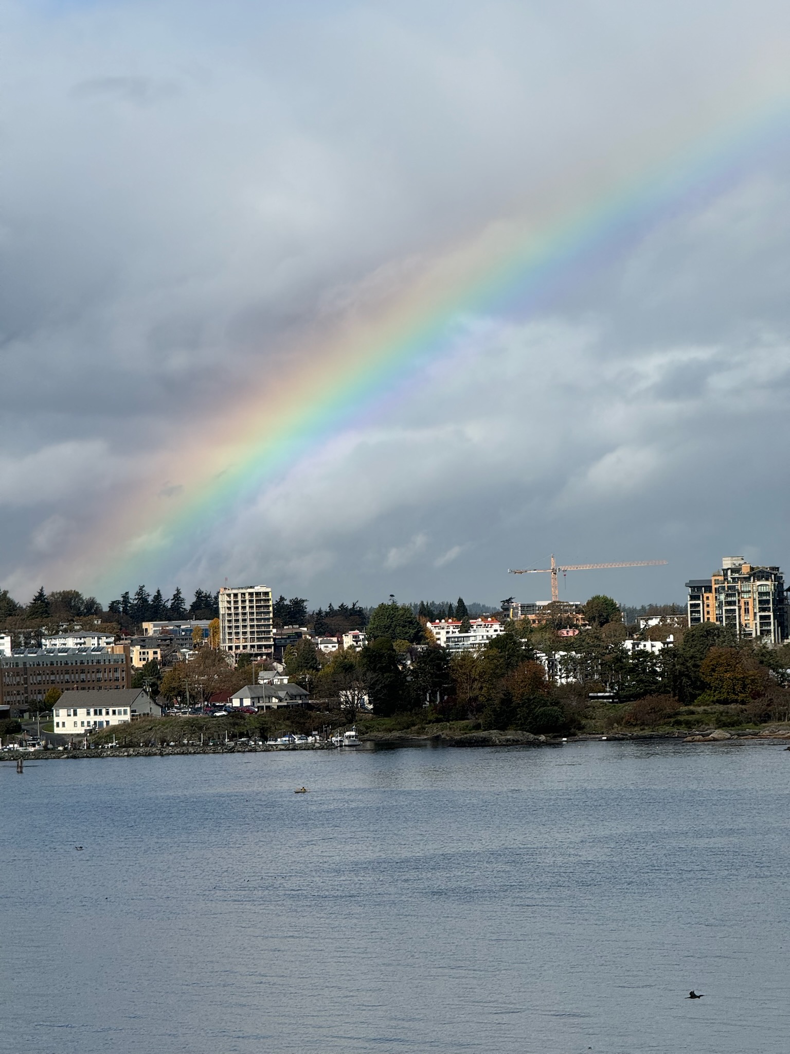 Vivid rainbow arcing over an Alaskan waterfront town with boats on the water